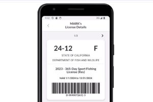 California online fishing license