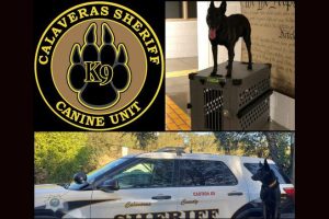 K9 Nox retires -- CCSO photo