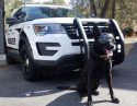 K9 Nox retires -- CCSO photo