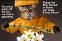 TCAC Easter Lilies deadly to kittens flyer copy