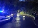 Tree down on E. Oakside Drive closes section of roadway -- SPD photo
