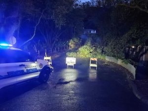 Tree down on E. Oakside Drive closes section of roadway -- SPD photo