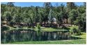 A popular pond on Tuolumne Rancheria lands used for fishing, recreation, and picnicking is surrounded by dense trees.