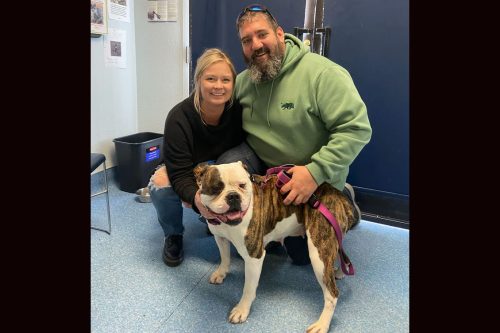 Daisy adopted by the Waters family