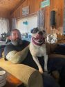 Daisy in her forever home
