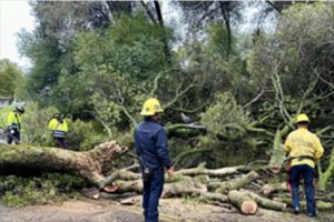 Fire resources responded to over 60 weather related incidents over 48 hours all across the County