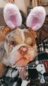 Paisley's celebrates Easter all healed