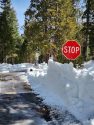 Plowing on Sonora Pass Highway 108