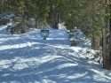 Deep snow on Sonora Pass Highway 108
