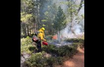 Prescribed Burning