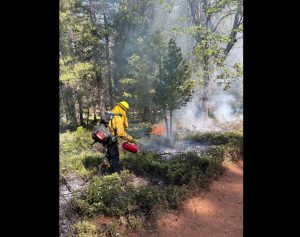 Prescribed Burning