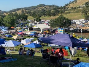 Calaveras County Fair and Jumping Frog Jubilee