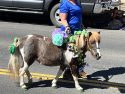 Mother Lode Roundup Parade in Sonora Photo taken by: Tracey Petersen