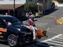 Mother Lode Roundup Parade in Sonora Photo taken by: BJ Hansen