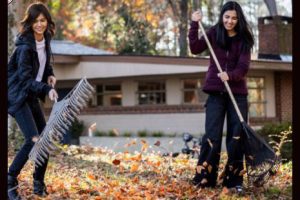 Raking leaves