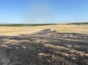 Vegetation Fire Near Milton