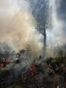 Stanislaus National Forest Italian Bar RX prescribed burn -- STF photo