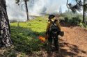 Stanislaus National Forest Italian Bar RX prescribed burn -- STF photo