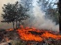 Prescribed Burning Archived Image - STF