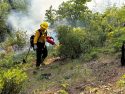 Prescribed Burning - Archive Image STF