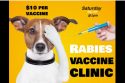 TCAC rabies and licensing clinic