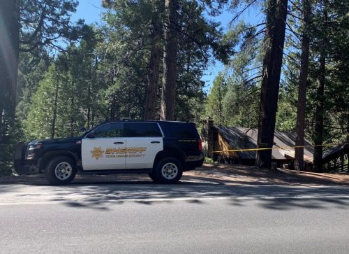 Explosives In Strawberry