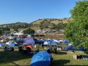 Calaveras County Fair and Jumping Frog Jubilee