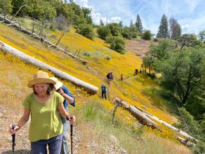 California State Parks Week Returns With Over 200 Events Statewide