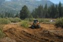 Ackerman Meadow restoration project