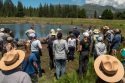 Ackerman Meadow restoration project
