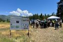 Ackerman Meadow restoration project