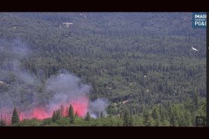 Belleview Fire between Big Hill and Cedar Ridge