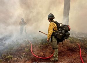US Forest Service Prescribed Burning