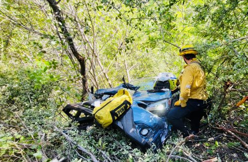 Vehicle travels off New Priest Grade
