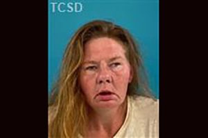 Heather Lynette Hamilton -- TCSO booking photo