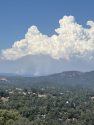Prescribed burn in Calaveras Big Trees State Park
