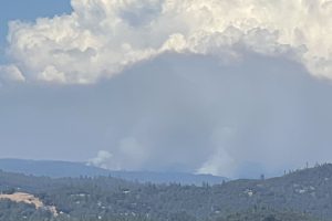 Prescribed burn in Calaveras Big Trees State Park