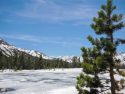 Snow on the ground in some areas of Yosemite