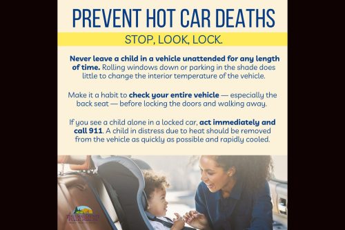 TCPH Prevent Hot Car Deaths flyer- kids