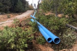 TUD tree removal for pipeline replacement