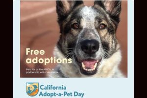 California Adopt-a-Pet Day flyer