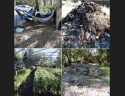 Marijuana Bust In Calaveras County