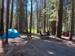 Crane Flat Campground Reopens After $9.8M Renovation