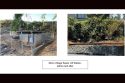 Mono Village Sewer Lift Station before and after -- TUD photo