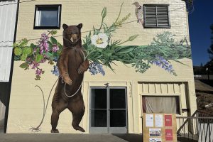 Mural in Mariposa on the back side of Don Ruben's building