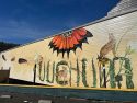 Mural in Mariposa on Mountain Fitness building