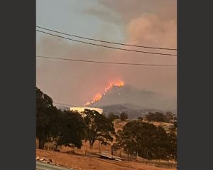 Pedro Fire, photo by Oli Bias