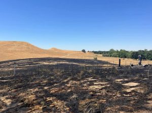 Robie Fire - Calaveras Consolidated Fire Image