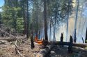 STF Sheering Fire west of Cherry Lake