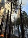 Sheering Fire west of Cherry Lake -- STF photo
